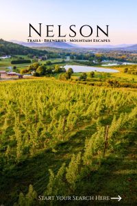 Vineyard rows with mountains and farmland in Nelson County.